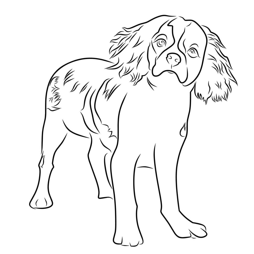 pet dog line art vector image