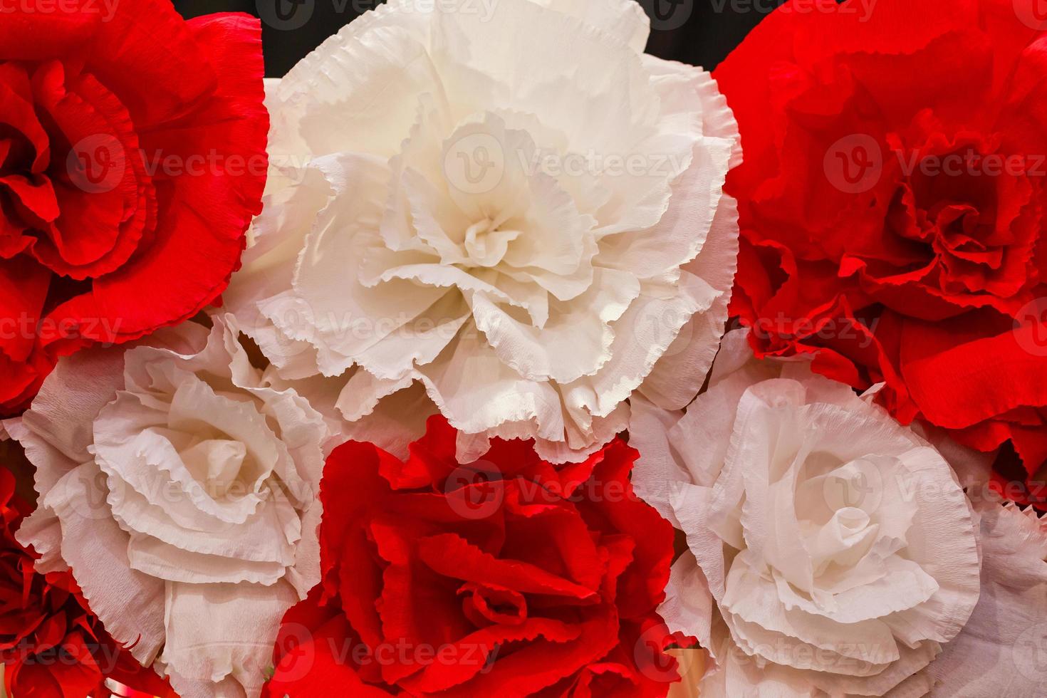 rosas artificiales rojas blancas. los objetos se cierran. foto