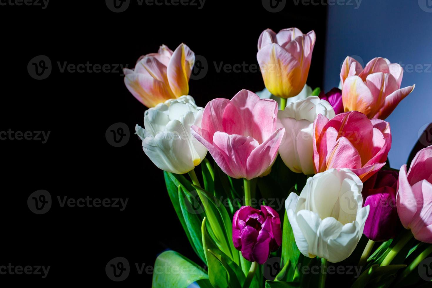 banner de flores de primavera, ramo de flores de tulipán foto