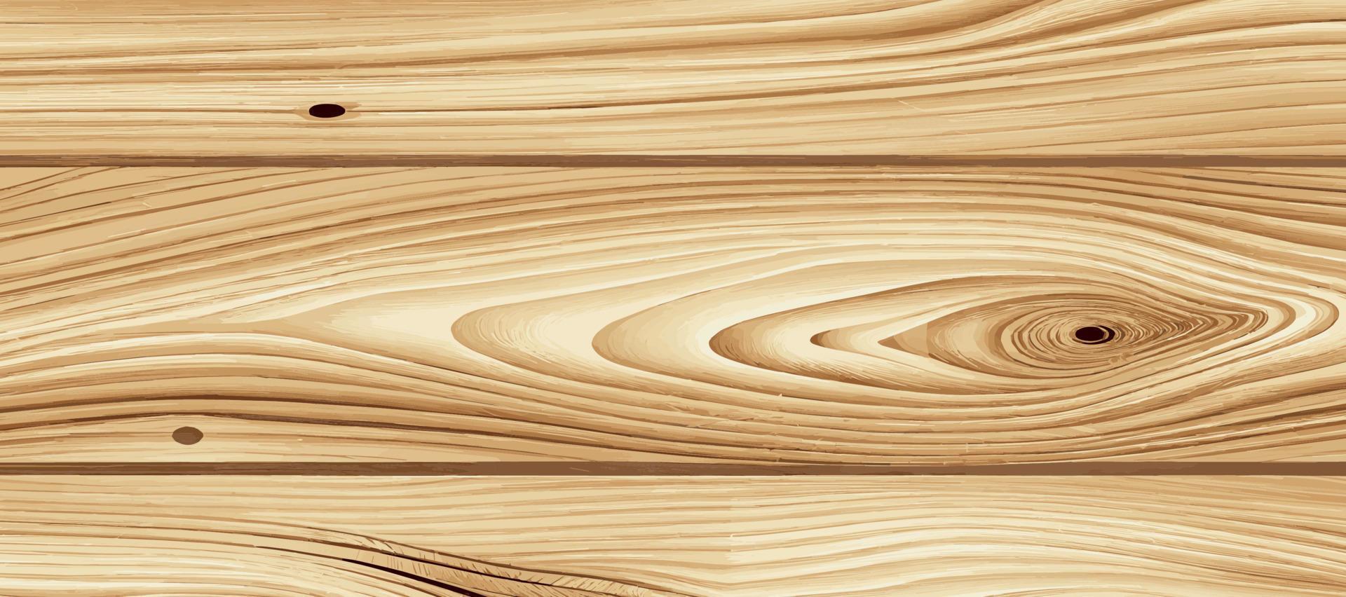 Panoramic light wood texture with knots, plank background - Vector