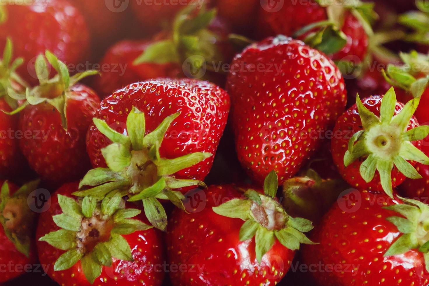 Background from freshly harvested strawberries, directly above photo