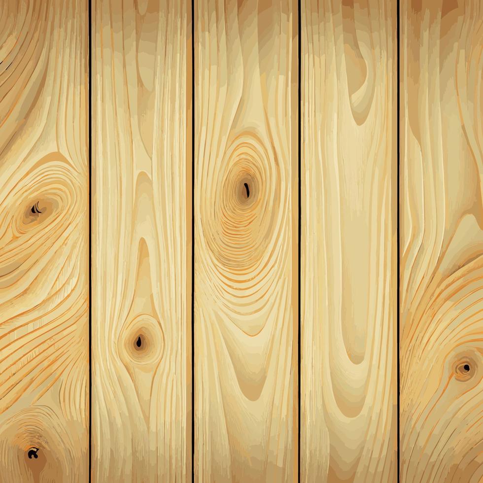 Light wood texture with knots, plank background - Vector