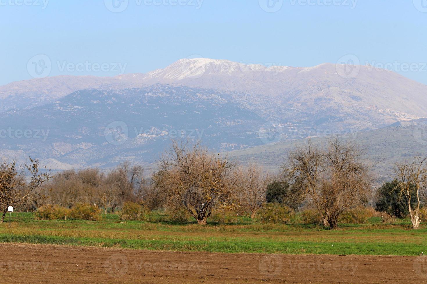 Snow lies on the top of Mount Hermon photo