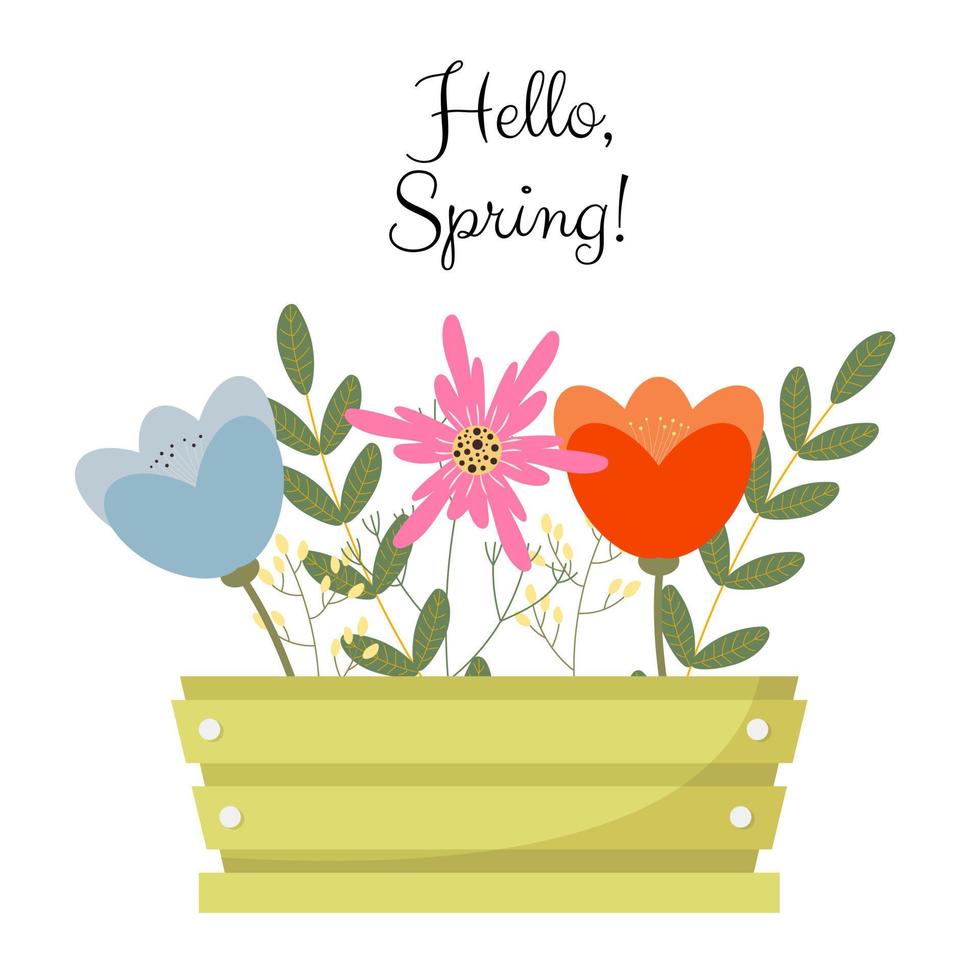 Bouquet of spring flowers inside the box with text Hello spring. Flat design. Hand drawn trendy vector greeting card.