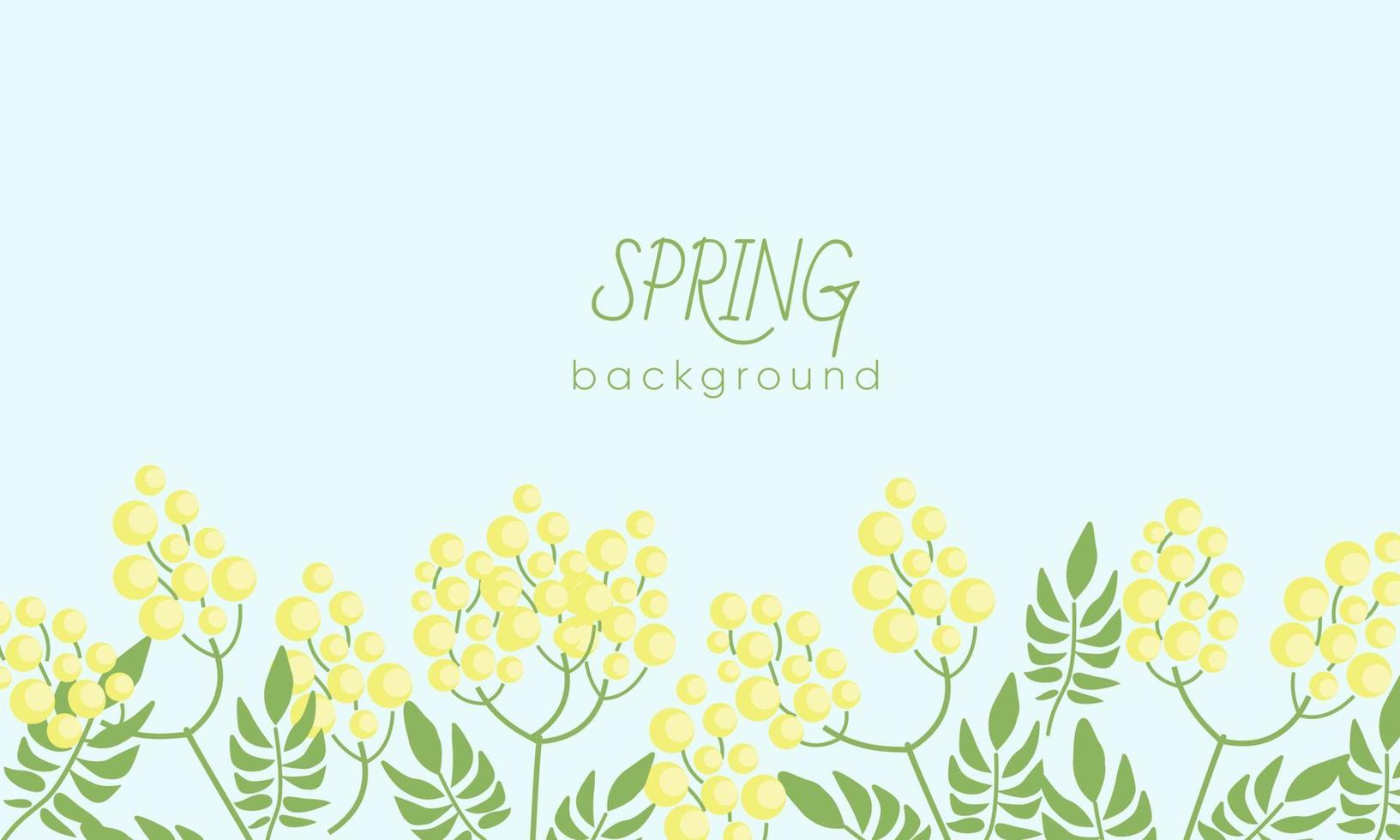 Botanical background with yellow mimosa flowers and leaves.. Backdrop with elegant flowering plants. vector