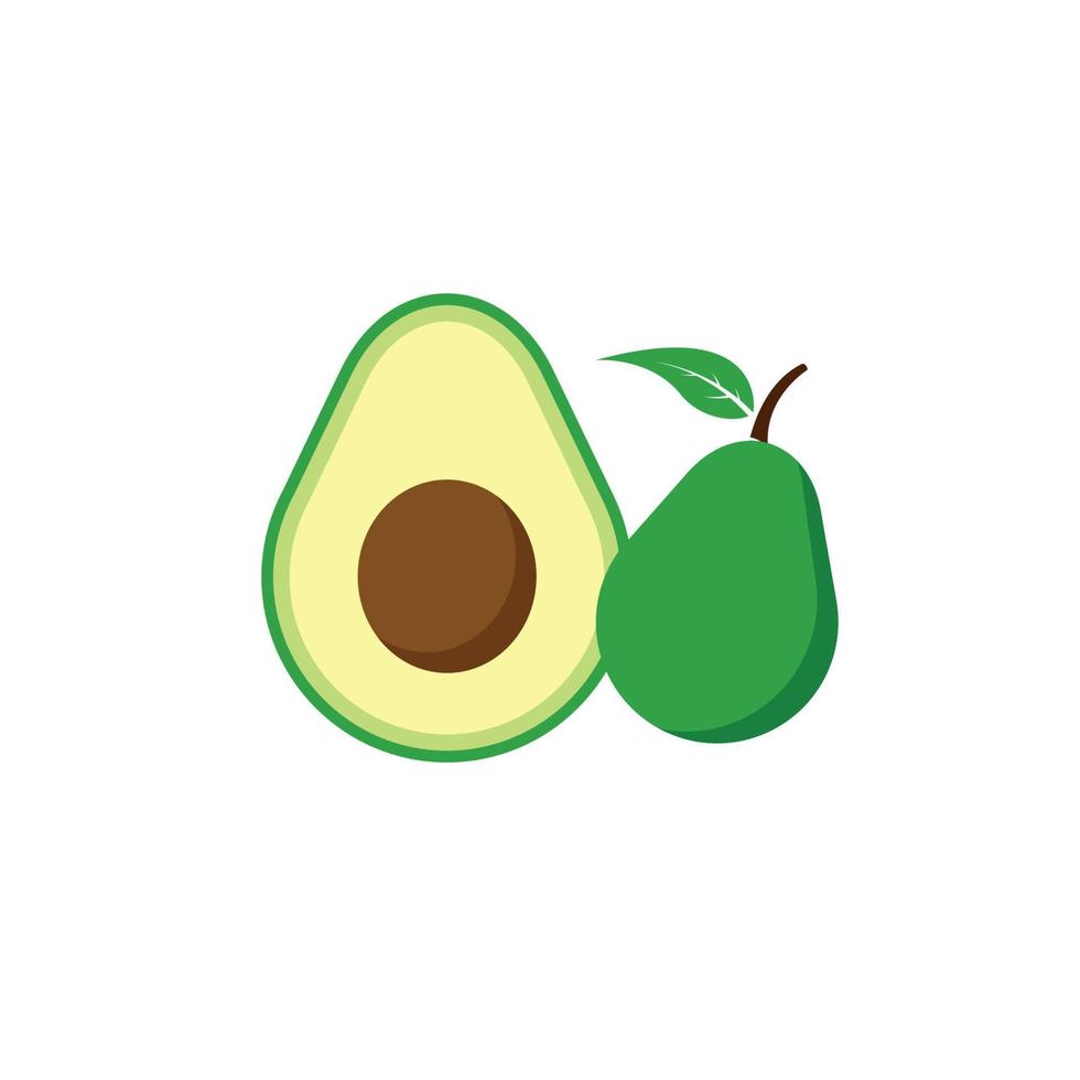 Avocado icon isolated vector illustration