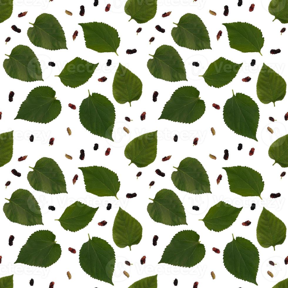 patrón sin costuras de hojas de morera aisladas en fondo blanco foto