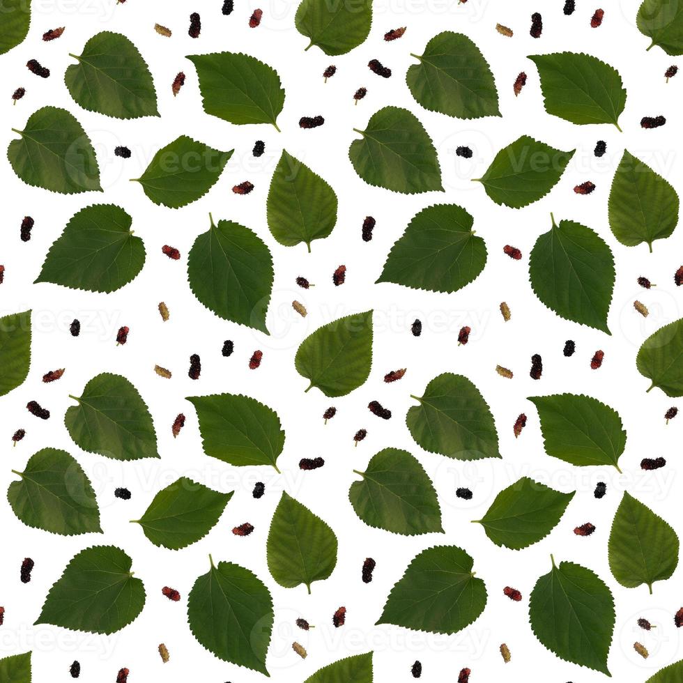 Isolated mulberry leaf seamless pattern in white background photo