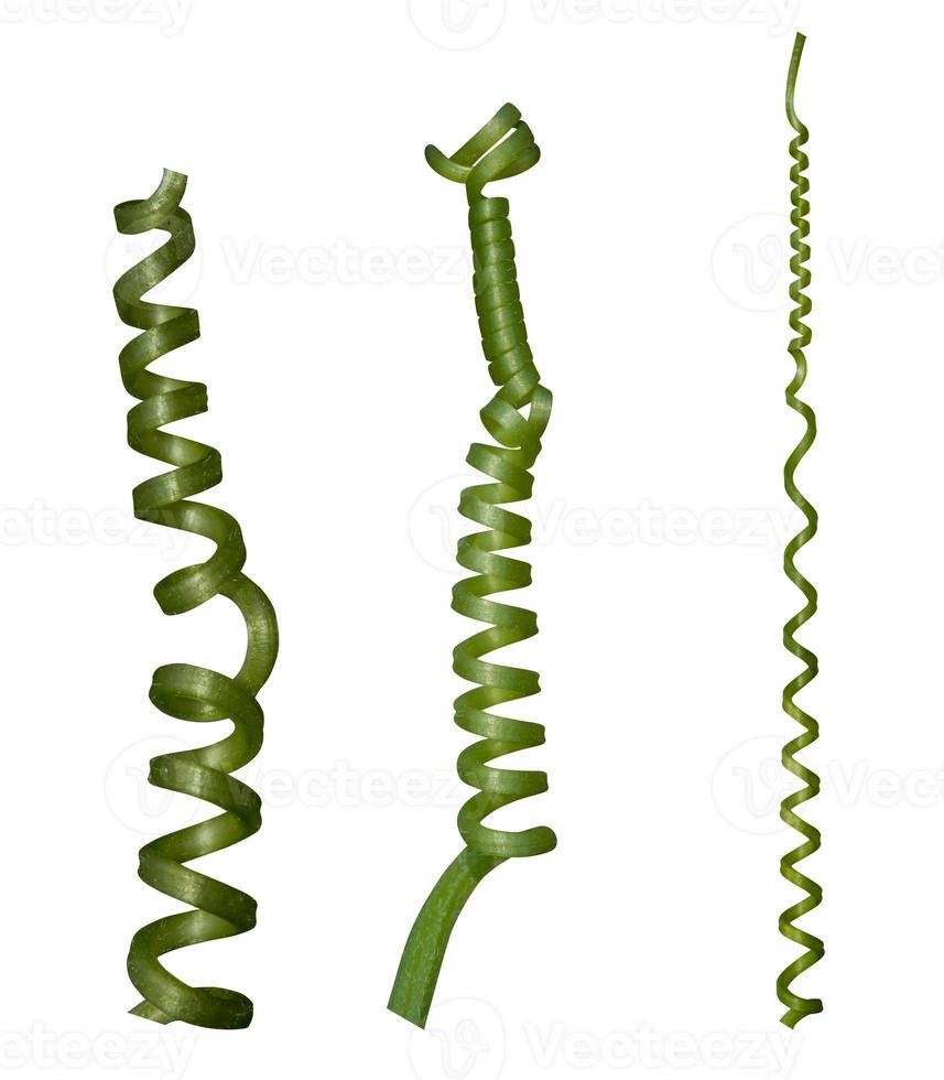Twisted liana, Vine spring fresh green isolated on white background, clipping path photo