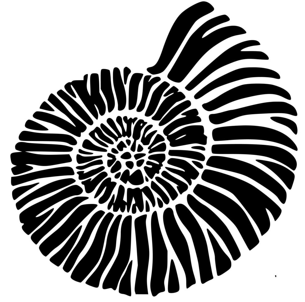 Beautiful vector art and graphics