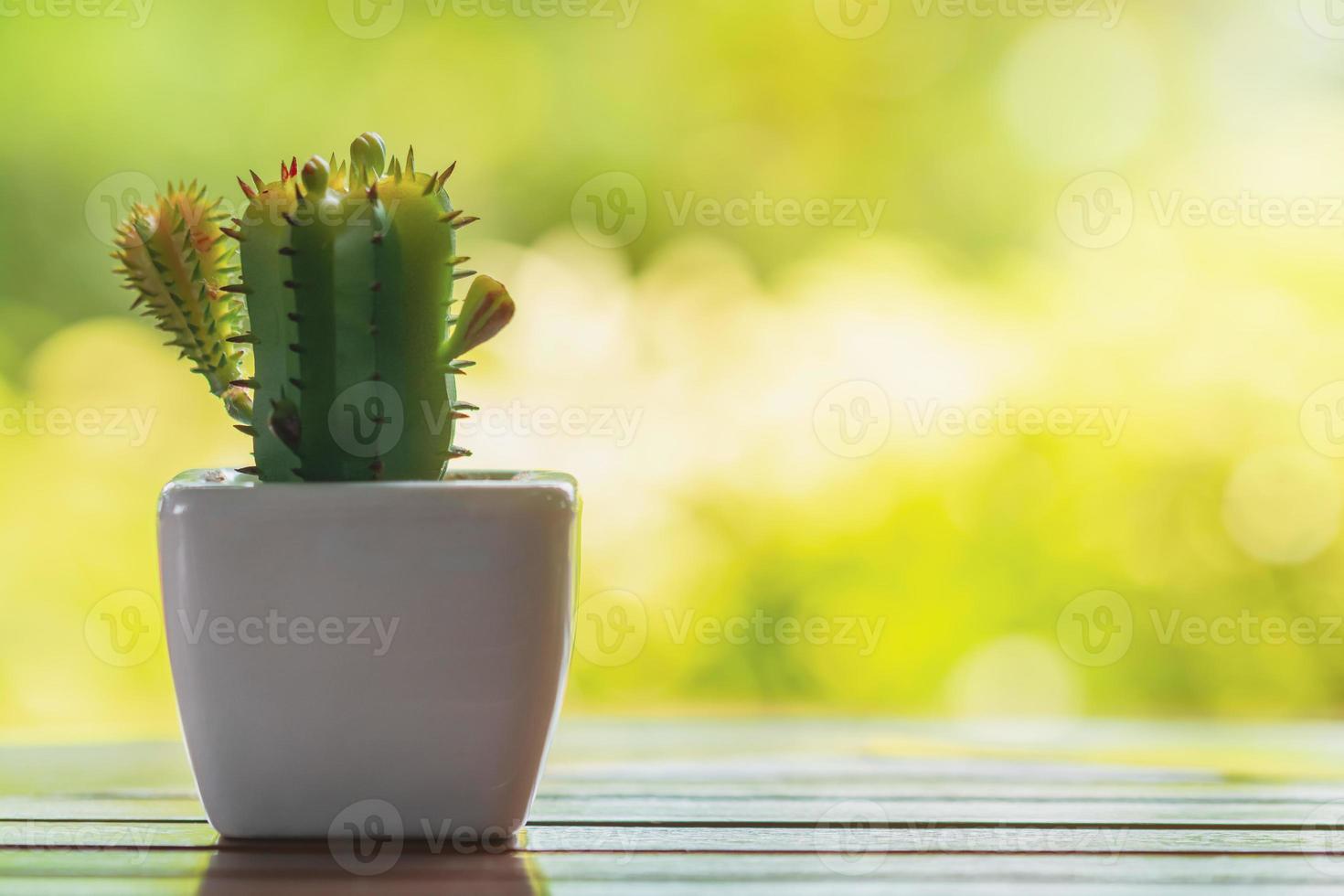wood desk background top view empty for design photo