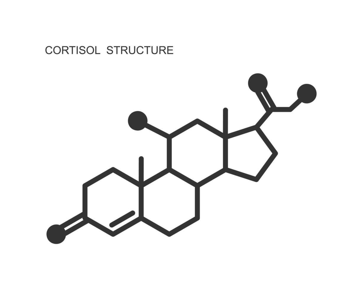 icono de la hormona cortisol. estructura molecular hidrocortisona vector