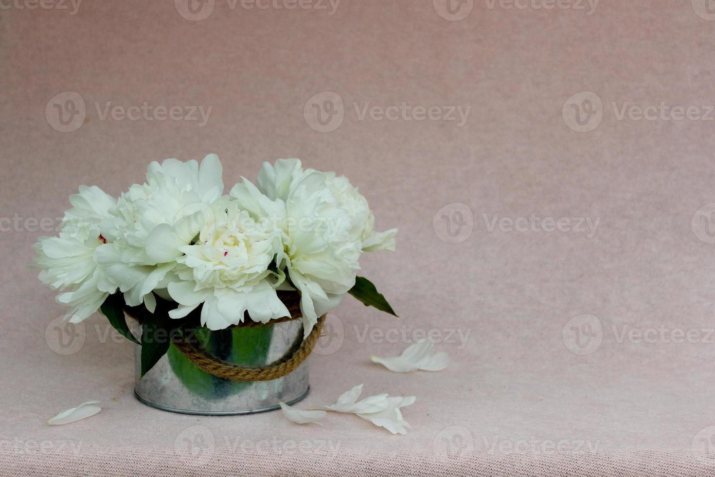 Beautiful bouquet of light milky peonies in rounded metal box isolated on pink background with free copyspace for text,horizontal image for greeting  card,wallpaper,calendar,poster,spring postcard photo