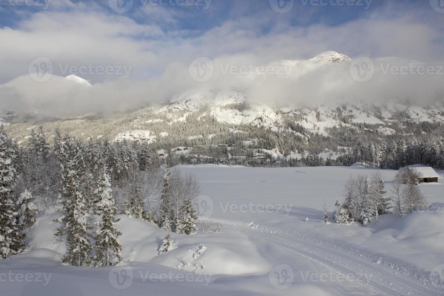 hermoso día en las montañas noruegas con bosques cubiertos de nieve cerca de hemsedal, impresión para diseño de portada, papel pintado, lienzo, folleto foto