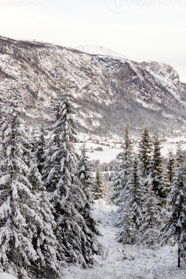 hermoso paisaje invernal noruego desde la pista de esquí en el valle de hemsedal buskerud noruega, postal de temporada, papel tapiz, impresión para lienzo, diseño de portada foto