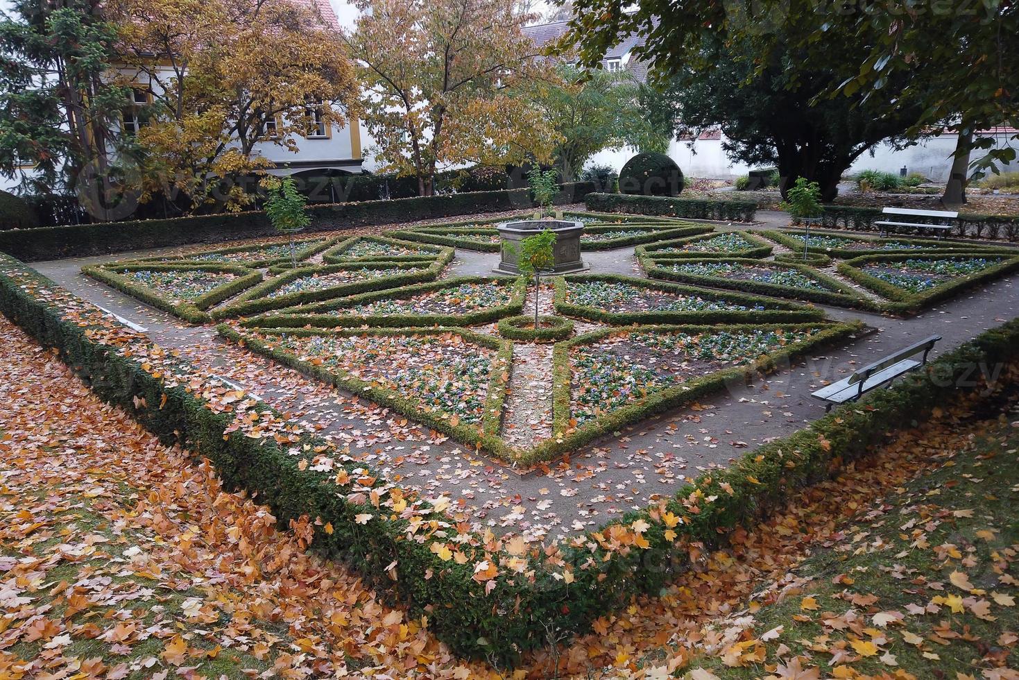 Autumn leaves and trees in the park photo