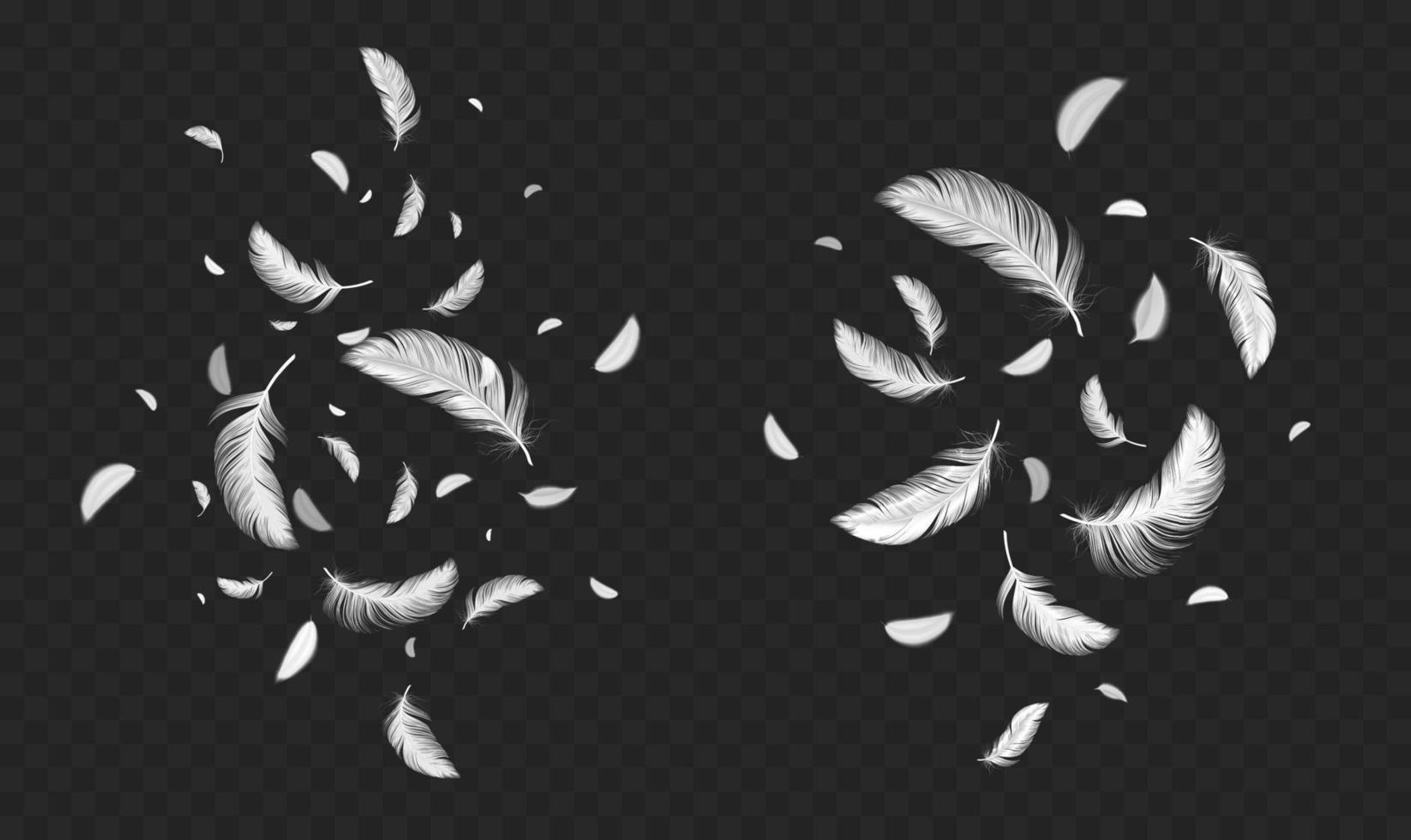Falling white soft feathers, bird plumage splash vector