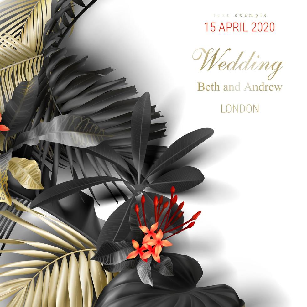 Tropical black and gold leaves on white background vector