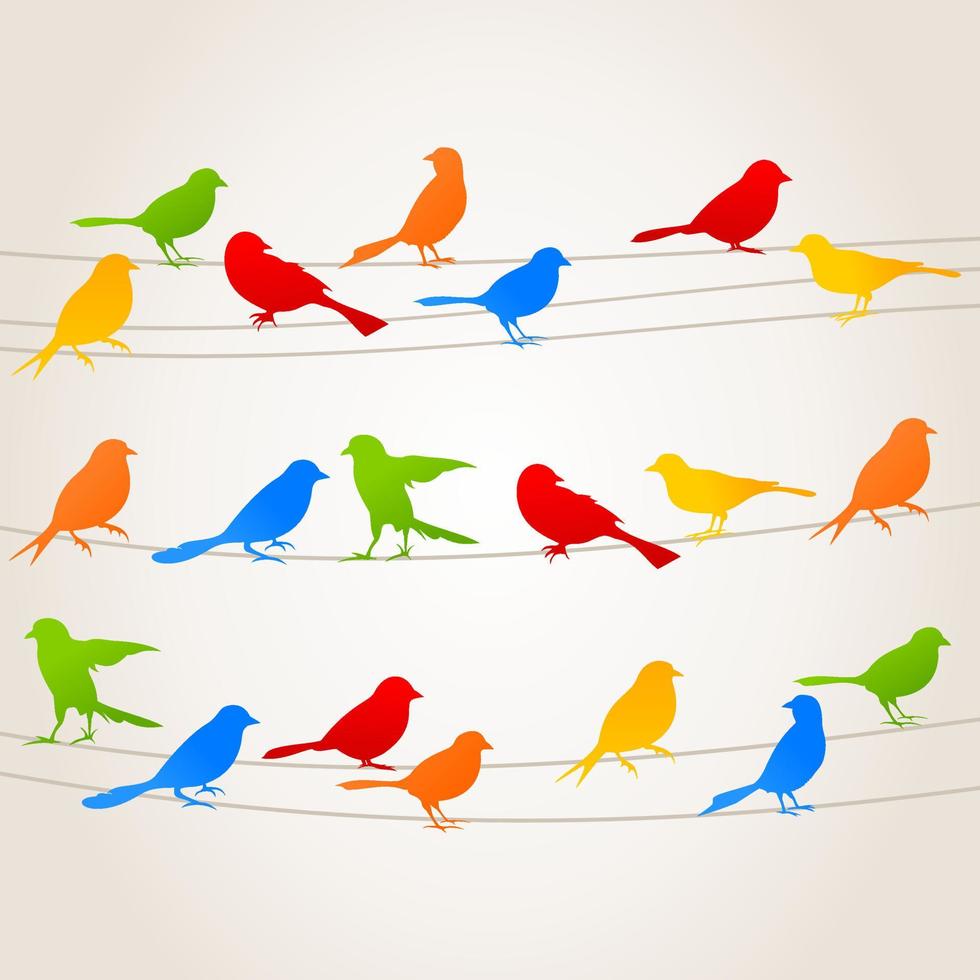 conjunto de pájaros en los cables. una ilustración vectorial vector