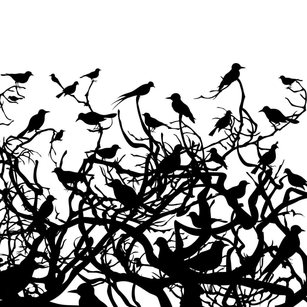 Birds sit on a tree. A vector illustration