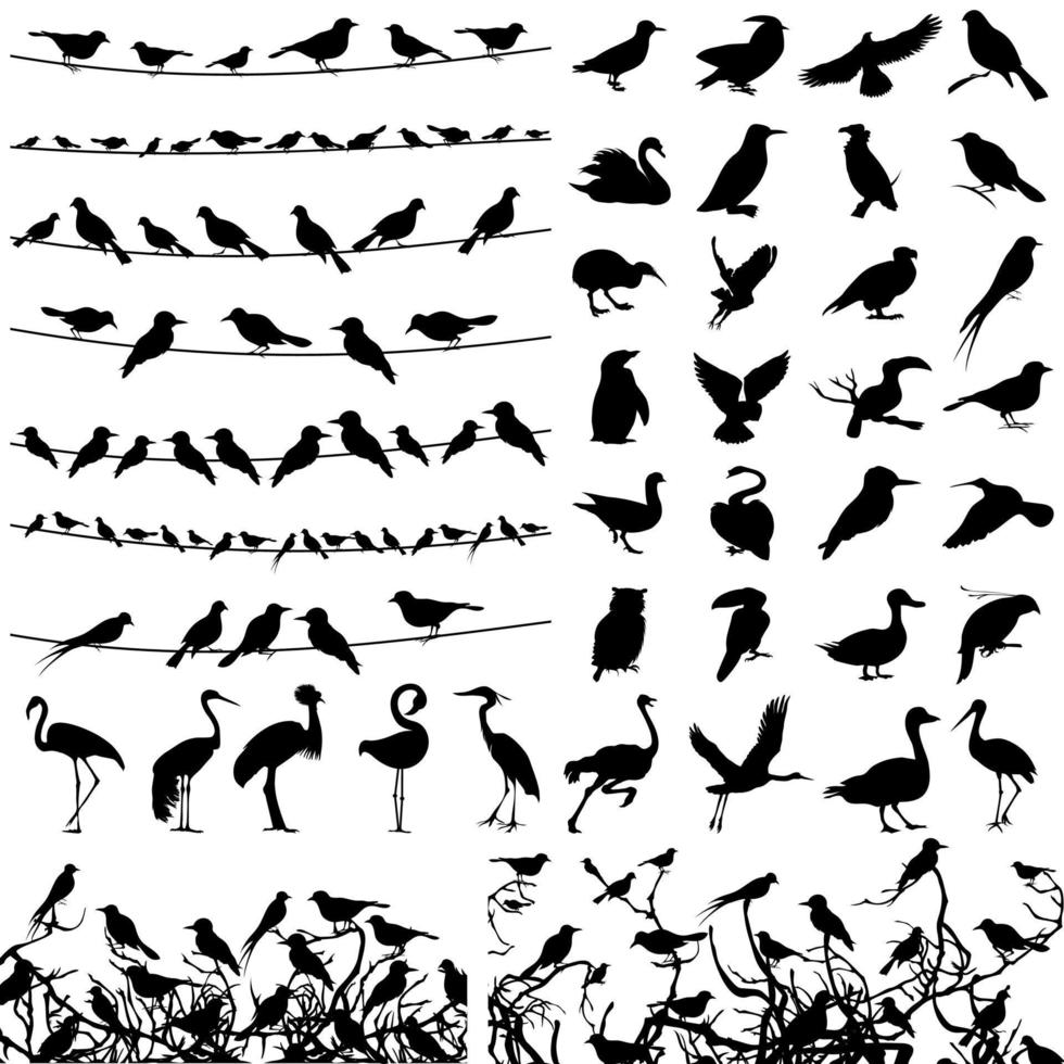 Black silhouettes of various kinds of birds. A vector illustration