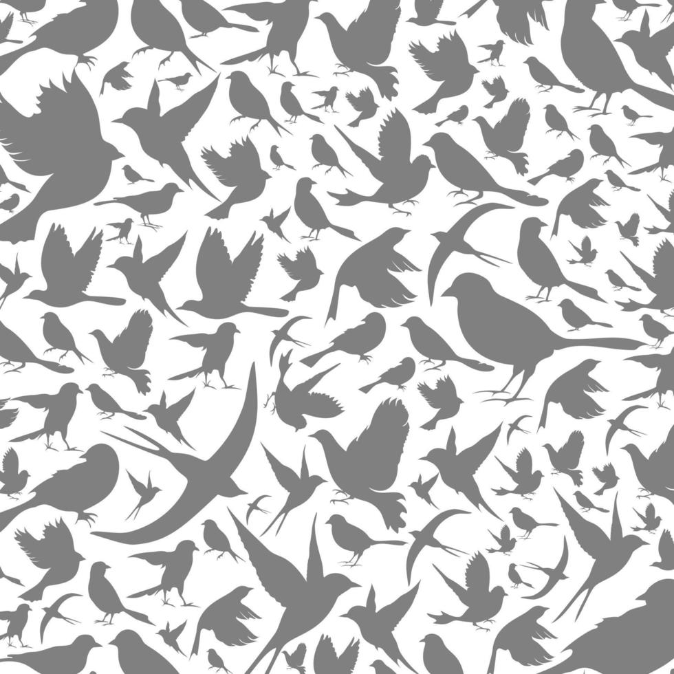 fondo recogido de las aves. una ilustración vectorial vector