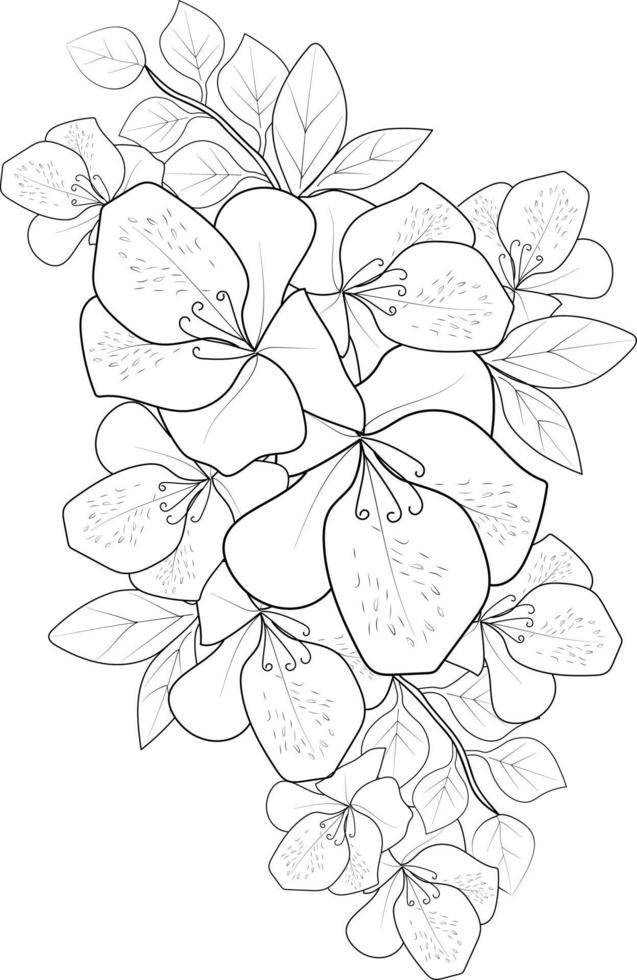 Hand-drawn beautiful evergreen Azalea Rani, flower bouquets, Flower zen doodle art easy sketches flowers decorative  outline design coloring pages for adults vector