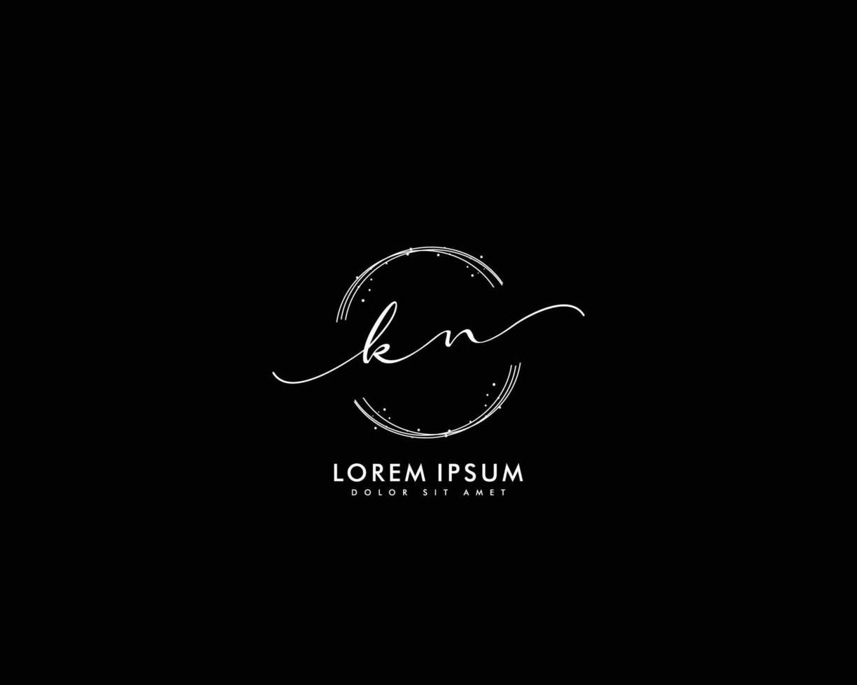 Initial letter KN Feminine logo beauty monogram and elegant logo design, handwriting logo of initial signature, wedding, fashion, floral and botanical with creative template vector