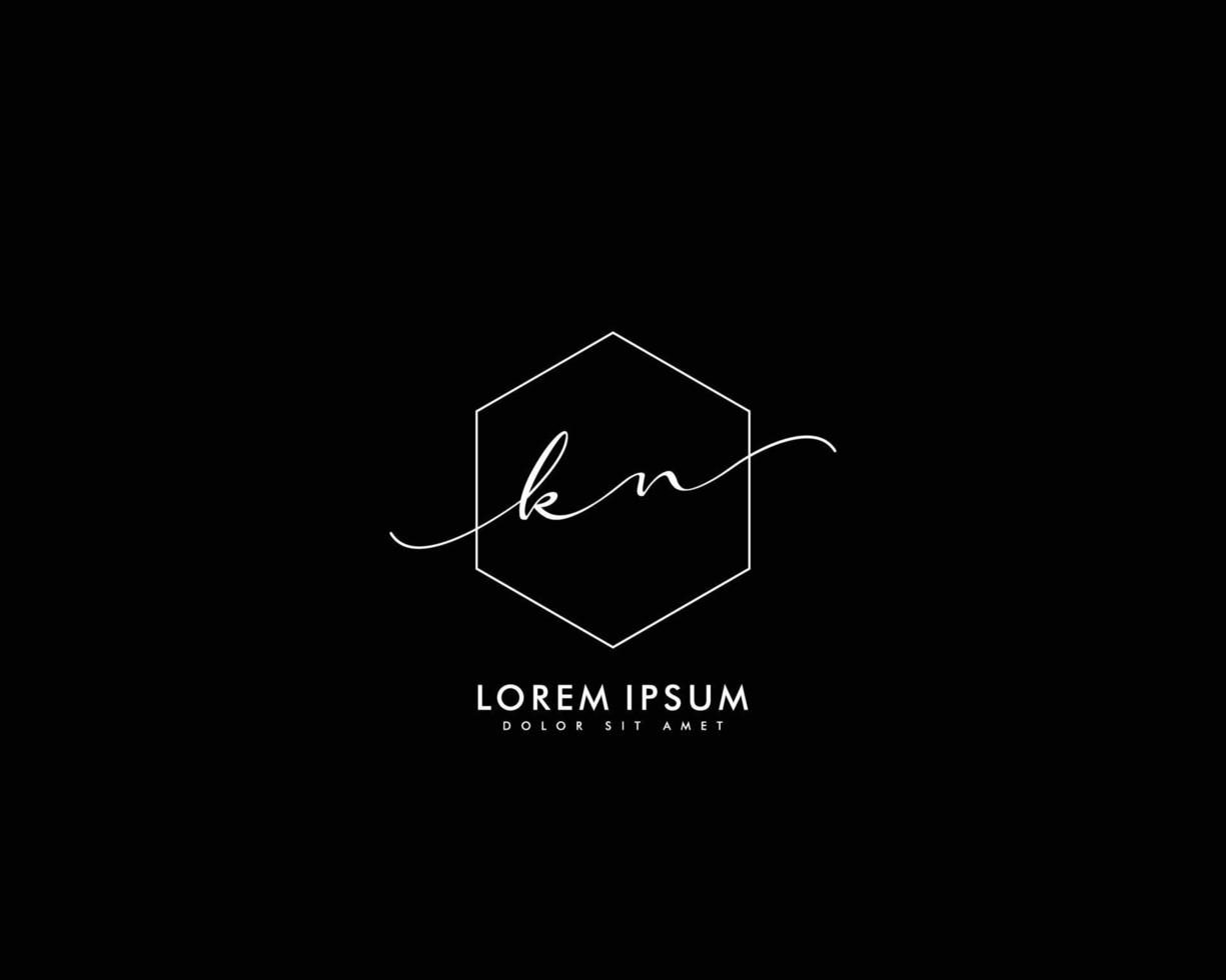 letra inicial kn logotipo femenino monograma de belleza y elegante diseño de logotipo, logotipo de escritura a mano de firma inicial, boda, moda, floral y botánica con plantilla creativa vector