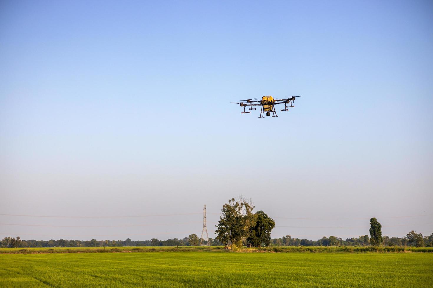 A view of a drone flying against the blue sky during the day to spray pesticides over the green rice fields. photo