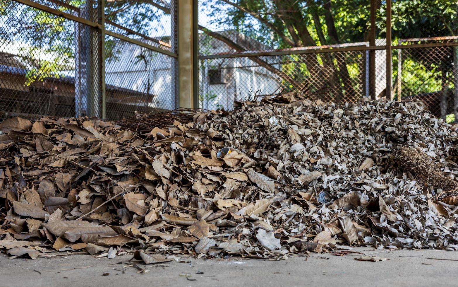 A large amount of dead leaves are piled together in the old steel grate structure room. photo