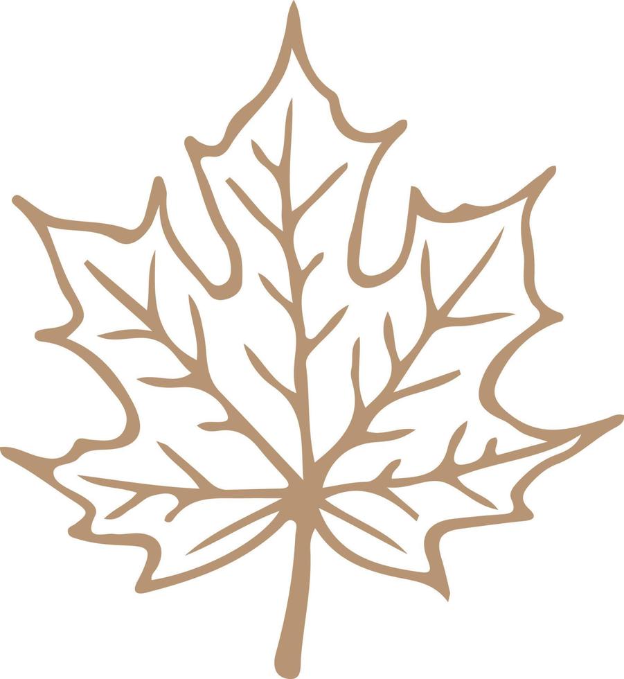 autumn leaf nature design vector