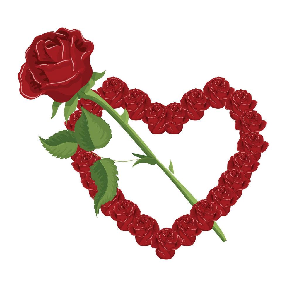 Heart and arrow from rose flowers. Vector illustration isolated on white background.