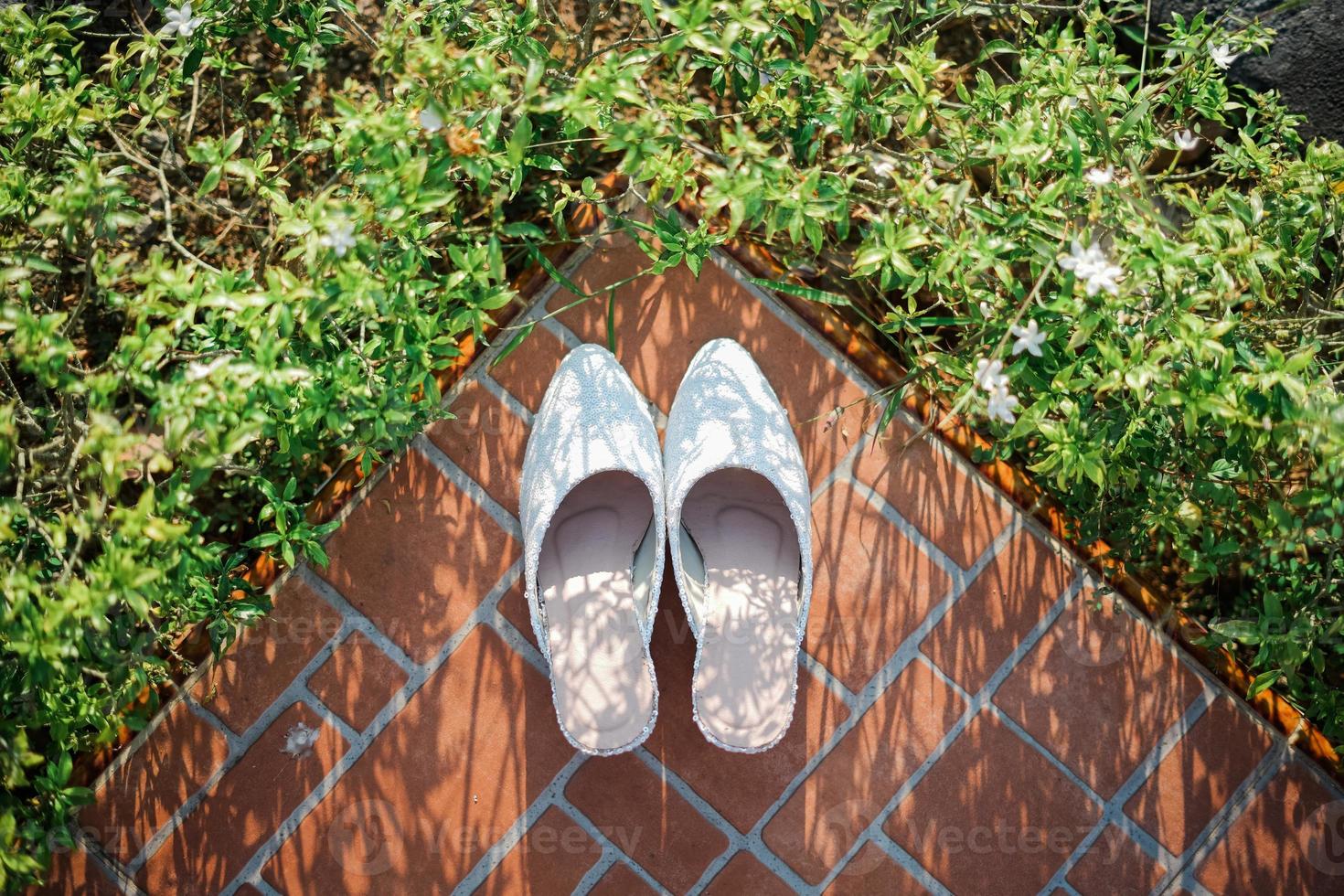 A Pair of Bride's Shoes for Wedding Ceremony photo