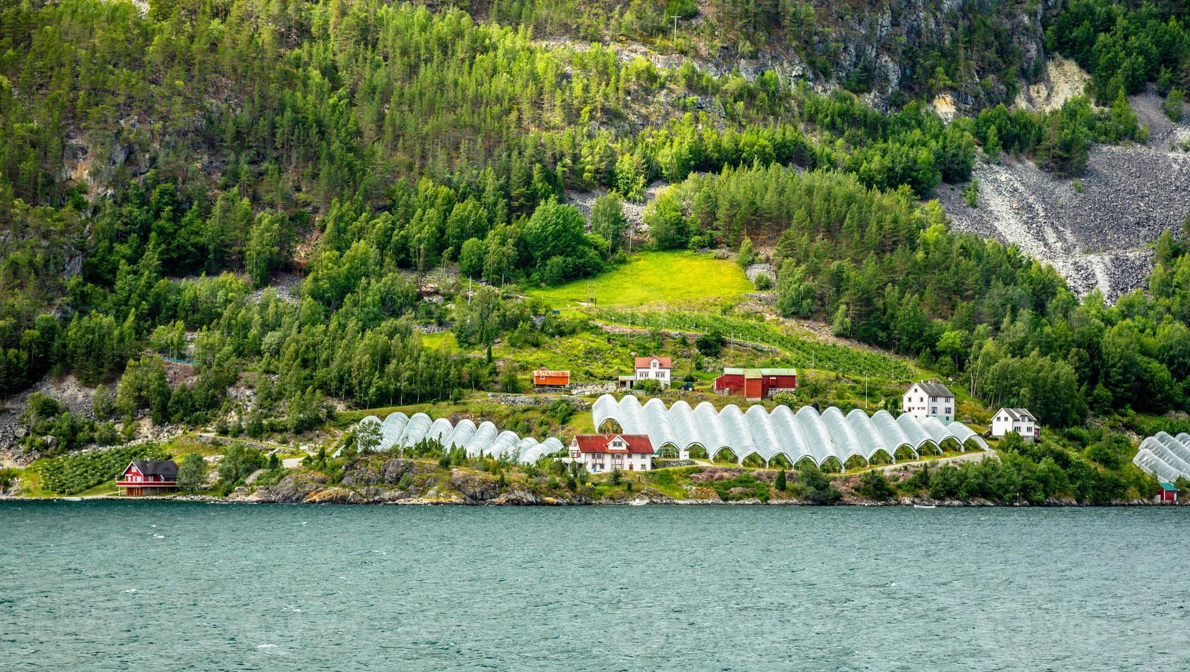 Norwegian agricultural farm with greenhouses on the hill at Naeroy