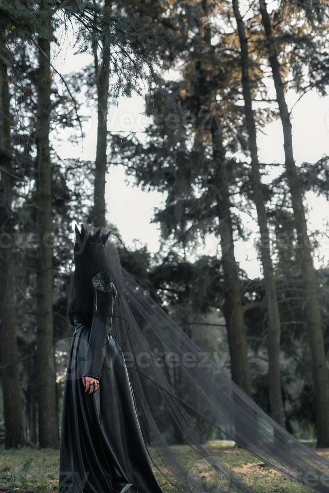 Gothic aesthetic scenic photography photo