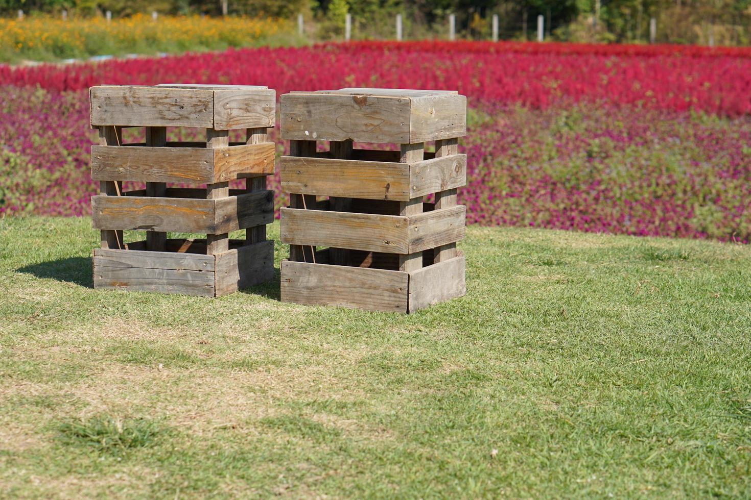 wooden chair for couples to relax on valentines day photo