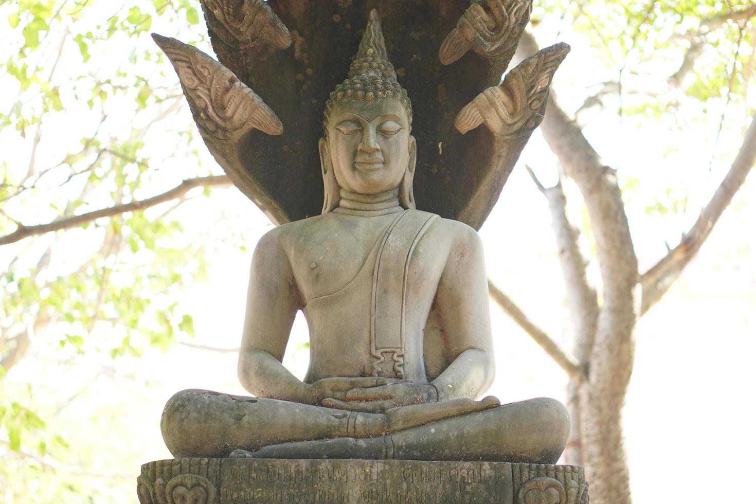 Buddha statue in Thailand temple photo