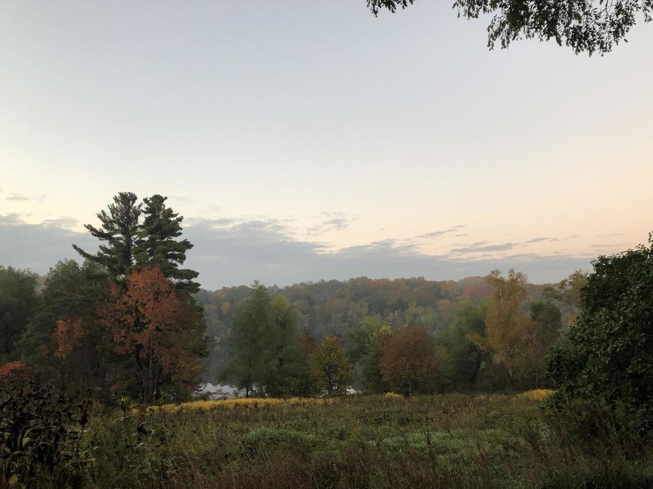 campo de otoño y árboles foto