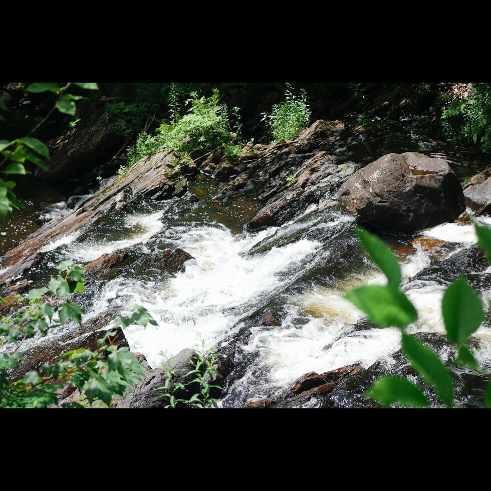 Small Stream Waterfall photo