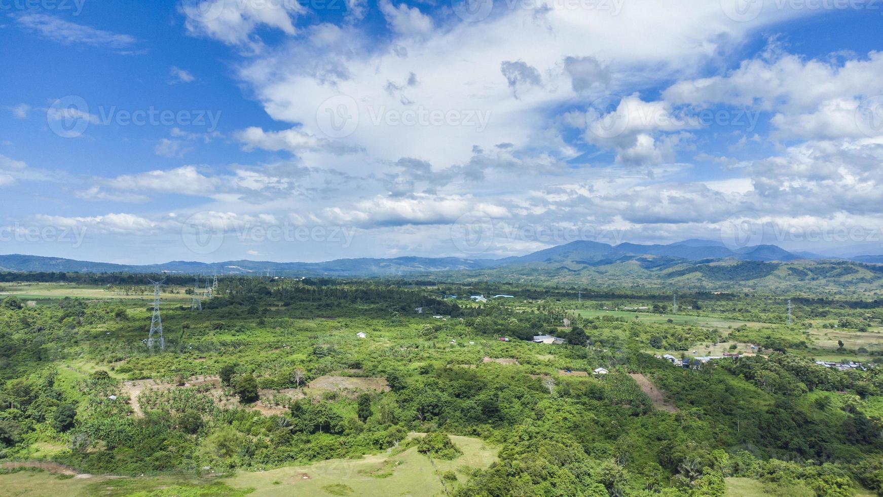 vista de ángulo alto del bosque tropical foto