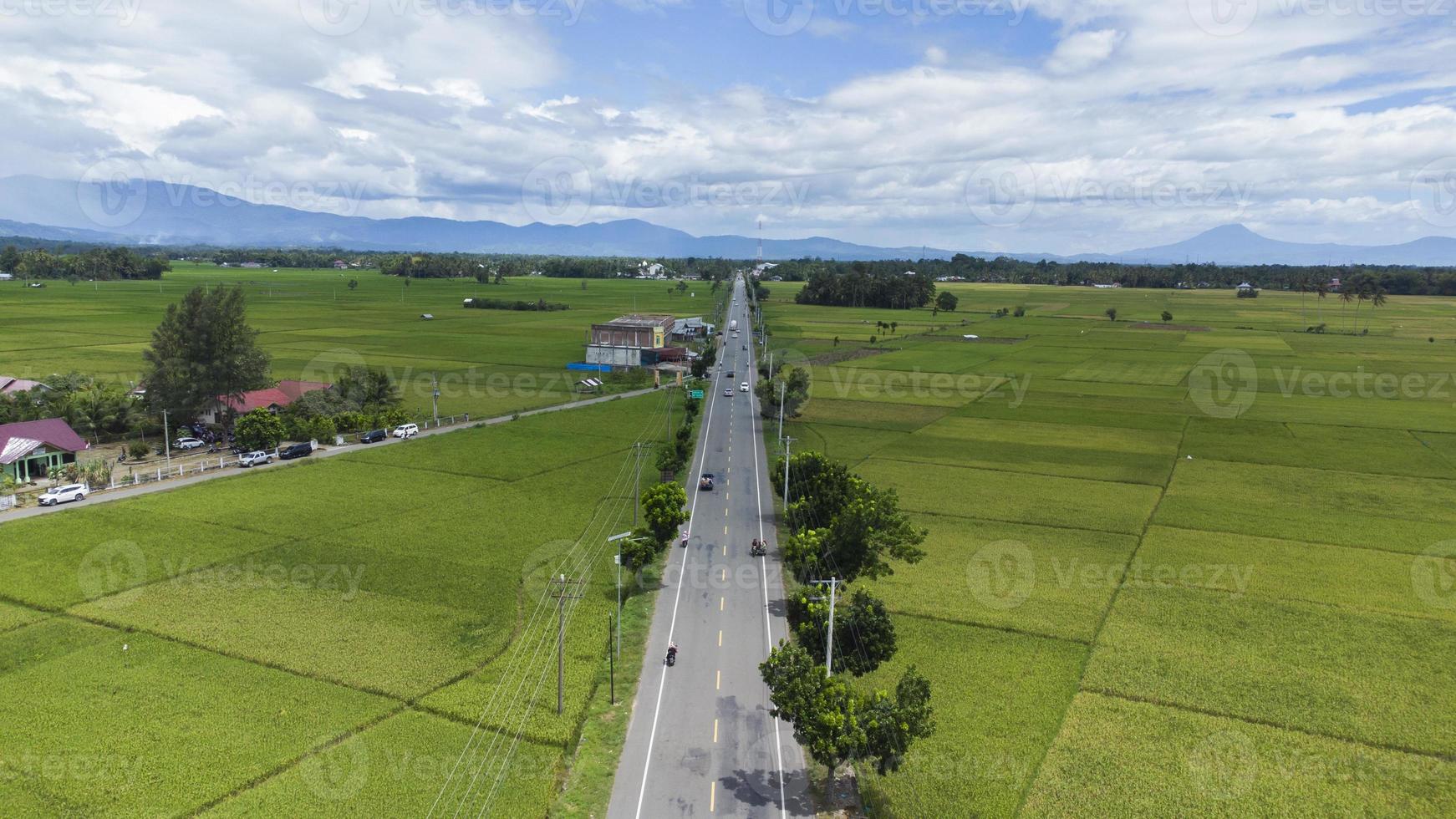 vista de ángulo alto de la carretera en medio de los campos de arroz foto