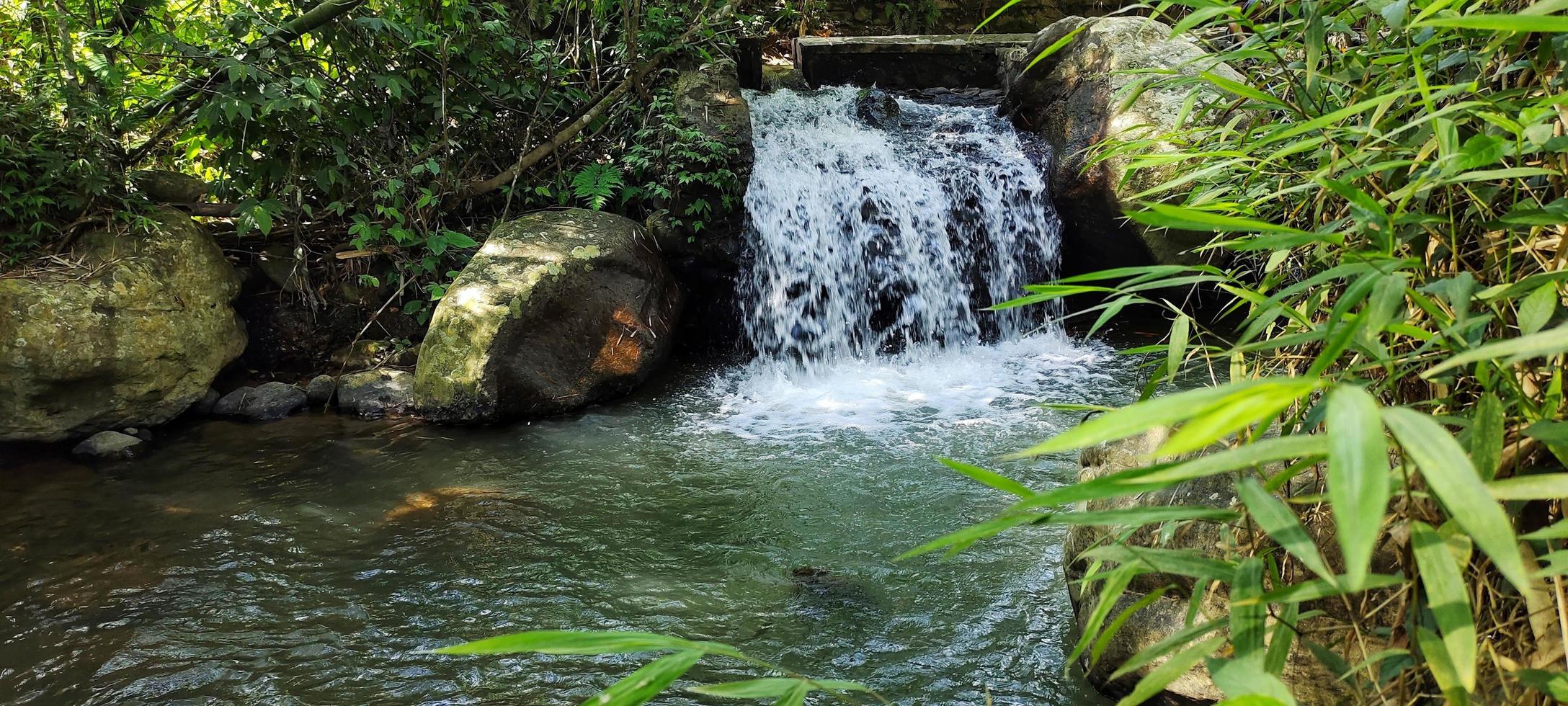 Mini waterfall in natural river with big rocks and green plants on the banks. photo