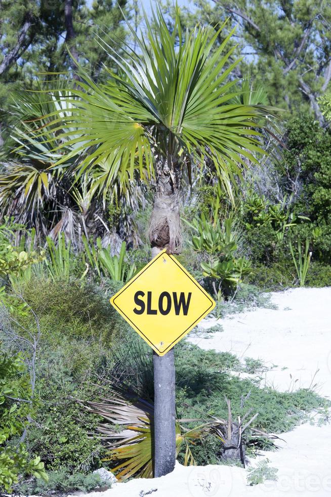 Half Moon Cay Island The Only Traffic Sign photo