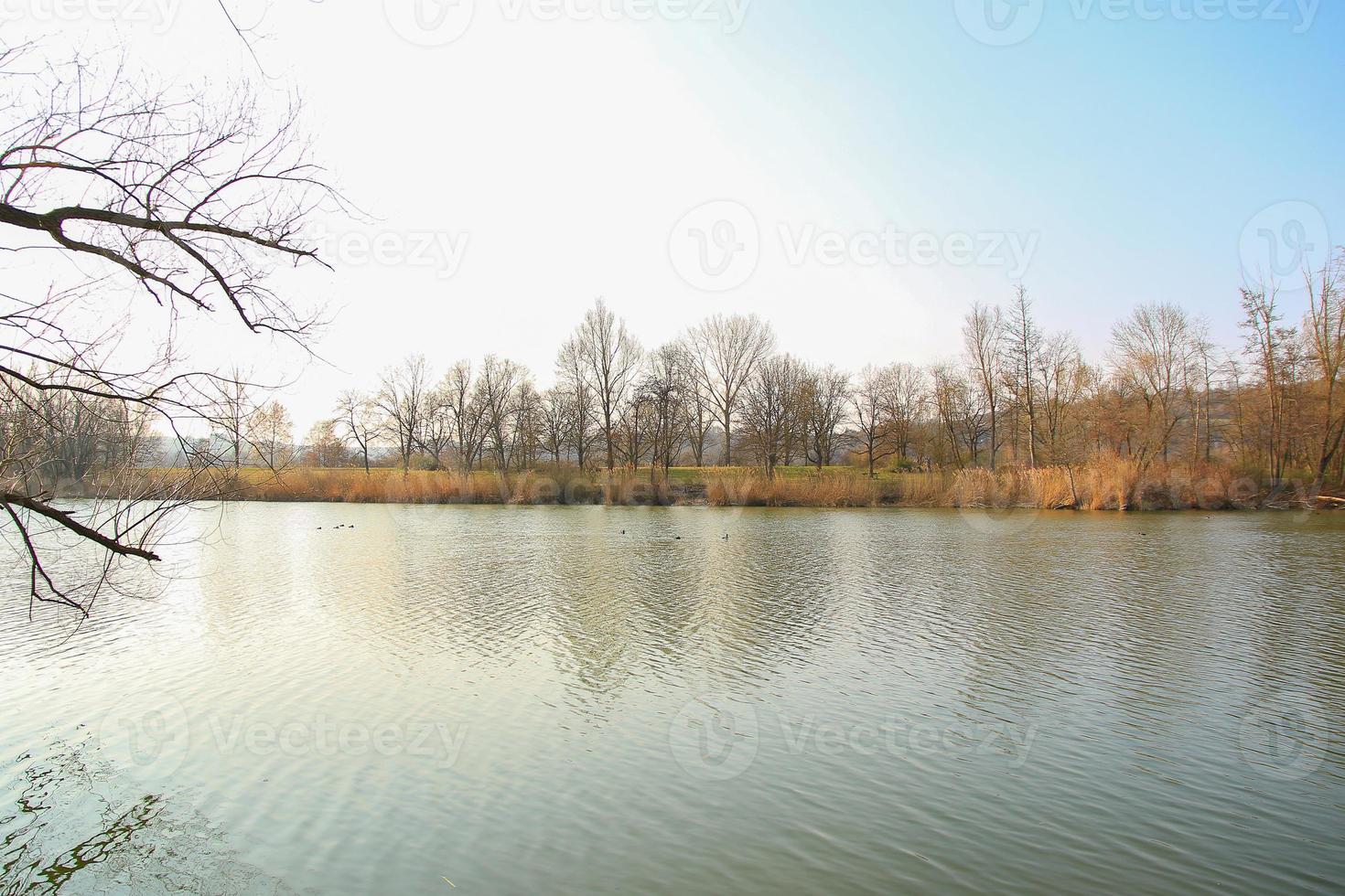 Autumn Nature With Trees and River Water with Reflection photo