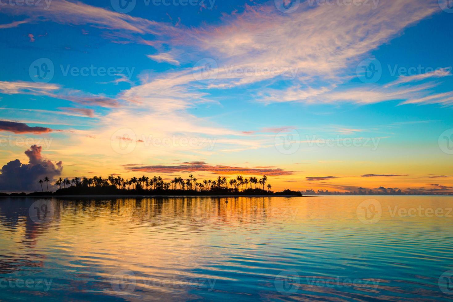 siluetas oscuras de palmeras y cielo nublado increíble al atardecer foto