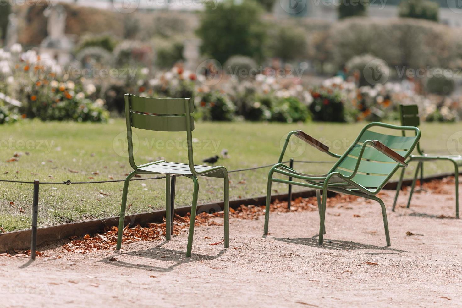 Traditional green chairs in the Tuileries garden in Paris, France photo