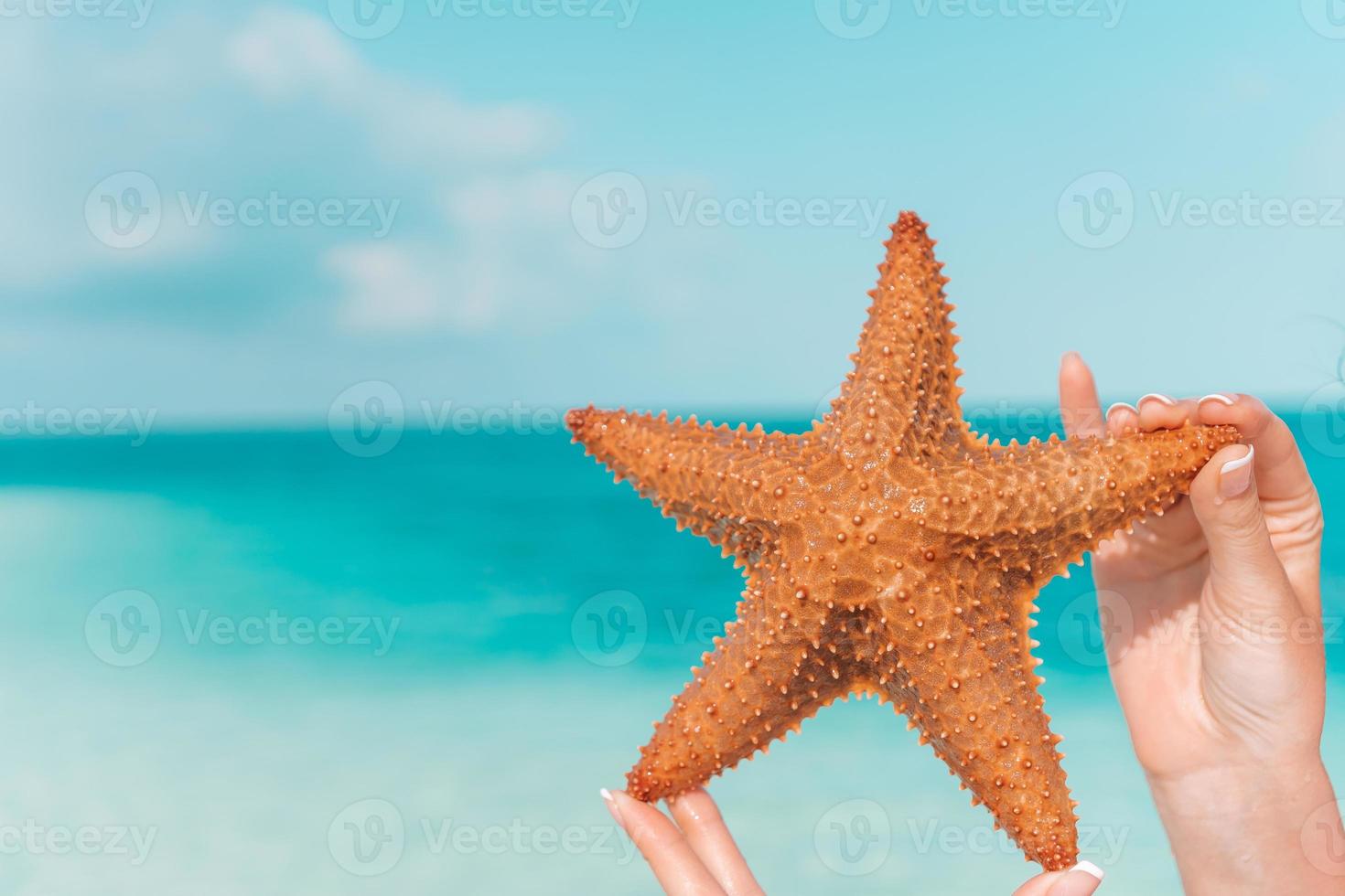 Tropical white sand with red starfish in hands background the sea photo