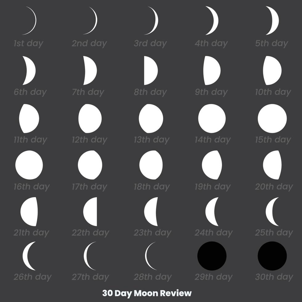 30 Day Moon Review. Moon phases astronomy icon set, Vector Illustration. Isolated outline symbols. Dark navy blue background.