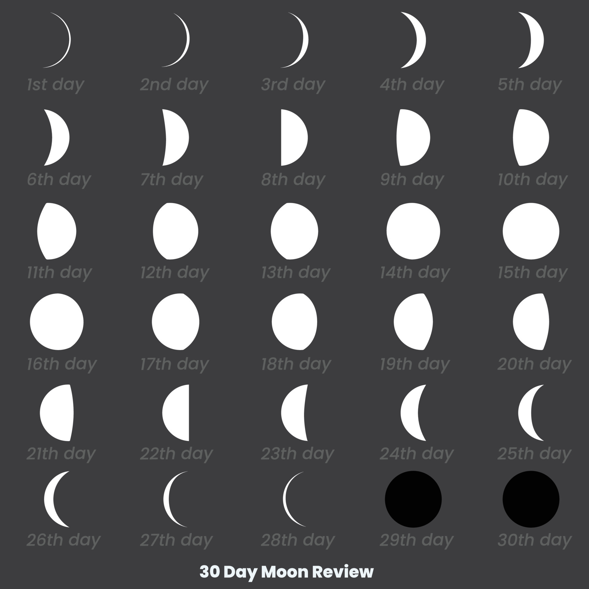 Moon crescent icons. Different shapes of moon. Vector illustration